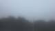 Wayland, Massachusetts 11.07.2025 05:34