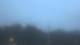 Wayland, Massachusetts 29.04.2025 05:34
