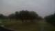 Tecumseh 09.06.2025 05:35