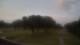 Tecumseh 14.06.2025 05:35