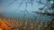 San Vincenzo 05.07.2025 05:15