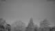 Huntlosen 25.03.2025 05:15