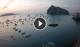 Ischia 09.06.2025 05:17