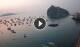 Ischia 15.06.2025 05:16