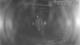 Castaway Island 09.06.2025 05:48