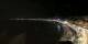 Nizza 30.04.2025 05:19