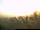 Baltrum 21.03.2025 05:48