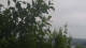 Melle 18.05.2025 05:20