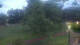 Bad Zwischenahn 15.07.2025 05:28