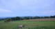 Grebenhain 12.07.2025 05:20