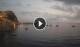 Scilla 02.07.2025 05:20