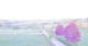 Manderfeld 09.05.2025 05:21