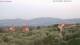 Pietrapiana 03.07.2025 05:21