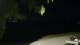 Le Morne 14.06.2025 05:29