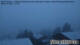 Falkertsee 09.05.2025 05:21