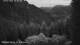 Schwangau 09.07.2025 05:22