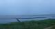 Nebel (Amrum) 05.07.2025 05:23