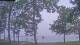 Houghton Lake, Michigan 14.07.2025 05:50