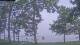 Houghton Lake, Michigan 15.07.2025 05:50