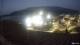 Orbetello 02.07.2025 05:25
