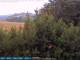 Bolonia 09.06.2025 05:25