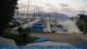 Breitbrunn am Chiemsee 13.07.2025 05:31