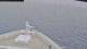 Norwegian Jade 29.04.2025 05:27