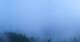 Rimbach 08.07.2025 05:27