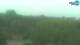 Fažana 05.07.2025 05:27