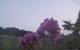 Montbliart 09.06.2025 05:28