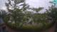 Sisak 12.05.2025 05:28