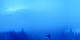 Churwalden 24.04.2025 05:15