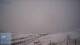 Narsaq 29.04.2025 05:31