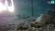 Brijuni 01.05.2025 05:29
