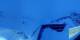 Wiler 09.05.2025 05:17