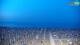 Bibione 01.05.2025 05:29