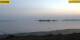 Gold auf Fehmarn 30.04.2025 05:29
