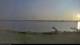 Perry 15.06.2025 05:29