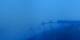 Prarion 08.07.2025 05:19
