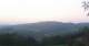 Zierling 09.06.2025 05:29