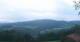 Zierling 03.07.2025 05:29