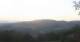 Zierling 04.07.2025 05:29