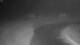 Corpus Christi, Texas 30.04.2025 05:31