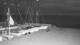Knokke-Heist 01.05.2025 05:31