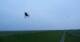 Westerhever 09.06.2025 05:31
