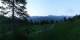Luchsingen 15.06.2025 05:31