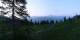 Luchsingen 09.06.2025 05:31
