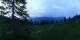 Luchsingen 09.06.2025 05:31