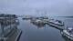 Ferch am Schwielowsee 13.07.2025 05:34