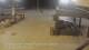 Torrevieja 01.05.2025 05:34